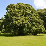 Skrobelev Gods Manor House فندق 4*