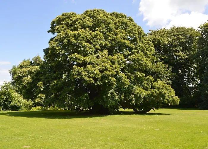 Skrøbelev Gods Manor House Hotel 4*